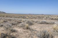 a dry desert with scrub brush and grass near mountains, some of which are in the distance