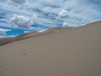 Colorado Desert Landscape: Endless Sand Dunes in the USA