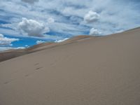 Colorado Desert Landscape: Endless Sand Dunes in the USA