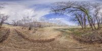 this is an artistic view of a dirt field and tree line in springtime with blue sky and clouds