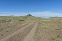 Colorado Dirt Road: Contrails in the Clear Sky