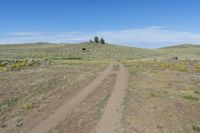 Colorado Dirt Road: Contrails in the Clear Sky