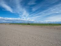 Colorado's Dirt Road: Gravel Surfaces in Nature