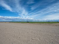 Colorado's Dirt Road: Gravel Surfaces in Nature