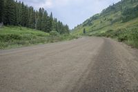 a dirt road surrounded by trees on the side of a hill covered in grass and weeds