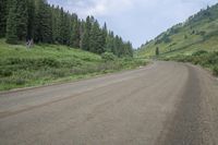 a dirt road surrounded by trees on the side of a hill covered in grass and weeds