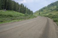 a dirt road surrounded by trees on the side of a hill covered in grass and weeds