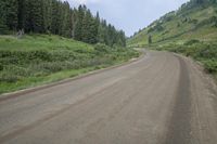 a dirt road surrounded by trees on the side of a hill covered in grass and weeds