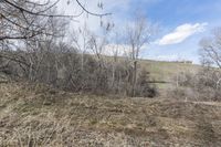 an area with dry grass and some dead trees and sky above it and another area with a green hill in the distance