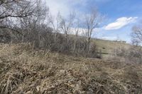 an area with dry grass and some dead trees and sky above it and another area with a green hill in the distance