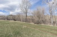 the dirt path to the hill in front of some trees and bushes near the water