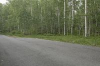 a road sign sitting by the side of a dirt road surrounded by trees and a lot of green grass