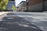 a paved sidewalk in an urban city setting with building in the background and green trees