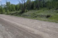 an empty road on a sunny day with mountain in background and trees on the side of the road