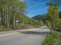 a yellow and black sign is on the street near some mountains and trees in the distance