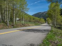 a yellow and black sign is on the street near some mountains and trees in the distance