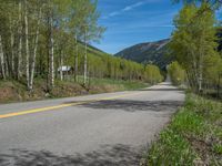 a yellow and black sign is on the street near some mountains and trees in the distance