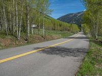 a yellow and black sign is on the street near some mountains and trees in the distance