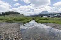 Colorado Forest: Creek, Nature, and Off-Road Adventures