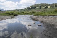 Colorado Forest: Creek, Nature, and Off-Road Adventures