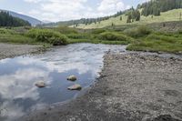 Colorado Forest: Creek, Nature, and Off-Road Adventures