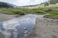 Colorado Forest: Creek, Nature, and Off-Road Adventures