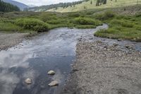 Colorado Forest: Creek, Nature, and Off-Road Adventures