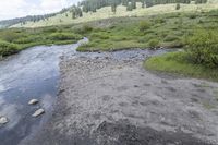 Colorado Forest: Creek, Nature, and Off-Road Adventures