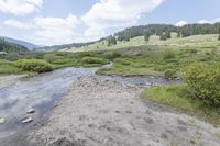 Colorado Forest: Creek, Nature, and Off-Road Adventures