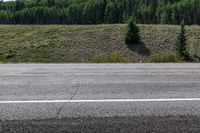 the stop sign is right on the empty highway that goes to nowhere, or to a forest