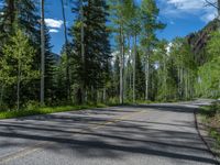 a scenic, winding road on the edge of a mountain range surrounded by tall trees