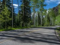 a scenic, winding road on the edge of a mountain range surrounded by tall trees