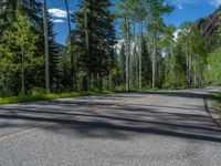 a scenic, winding road on the edge of a mountain range surrounded by tall trees