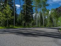 a scenic, winding road on the edge of a mountain range surrounded by tall trees