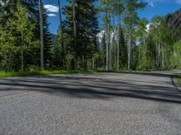 a scenic, winding road on the edge of a mountain range surrounded by tall trees