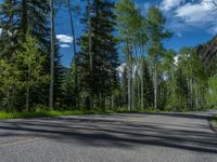 a scenic, winding road on the edge of a mountain range surrounded by tall trees