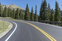 Colorado Forest Road: A View of Majestic Mountains