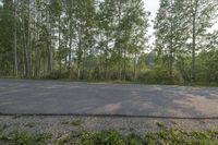 empty road in an open country road next to a forest area with trees and grass