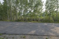 empty road in an open country road next to a forest area with trees and grass