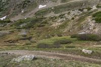 a rocky mountain side with two small animals walking near it and trees, shrubs and grass