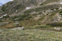 a rocky mountain side with two small animals walking near it and trees, shrubs and grass