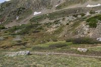 a rocky mountain side with two small animals walking near it and trees, shrubs and grass