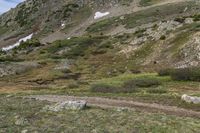 a rocky mountain side with two small animals walking near it and trees, shrubs and grass