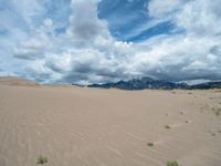 Colorado's Great Sand Dunes National Park