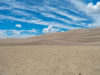 a lone horse sits on the desert sand dune in the great sand dunes area of the great sandhills