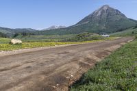 a dirt road with yellow wild flowers near mountains and a house with two white windows