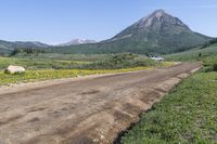 a dirt road with yellow wild flowers near mountains and a house with two white windows