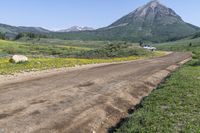 a dirt road with yellow wild flowers near mountains and a house with two white windows