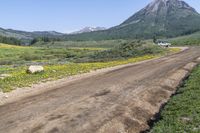 a dirt road with yellow wild flowers near mountains and a house with two white windows