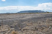 Colorado Highland: A View of Grass and Mountain Landforms